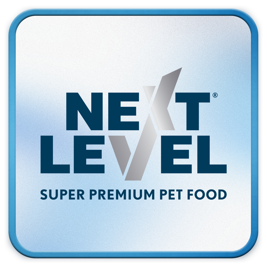 Next Level Logo.png