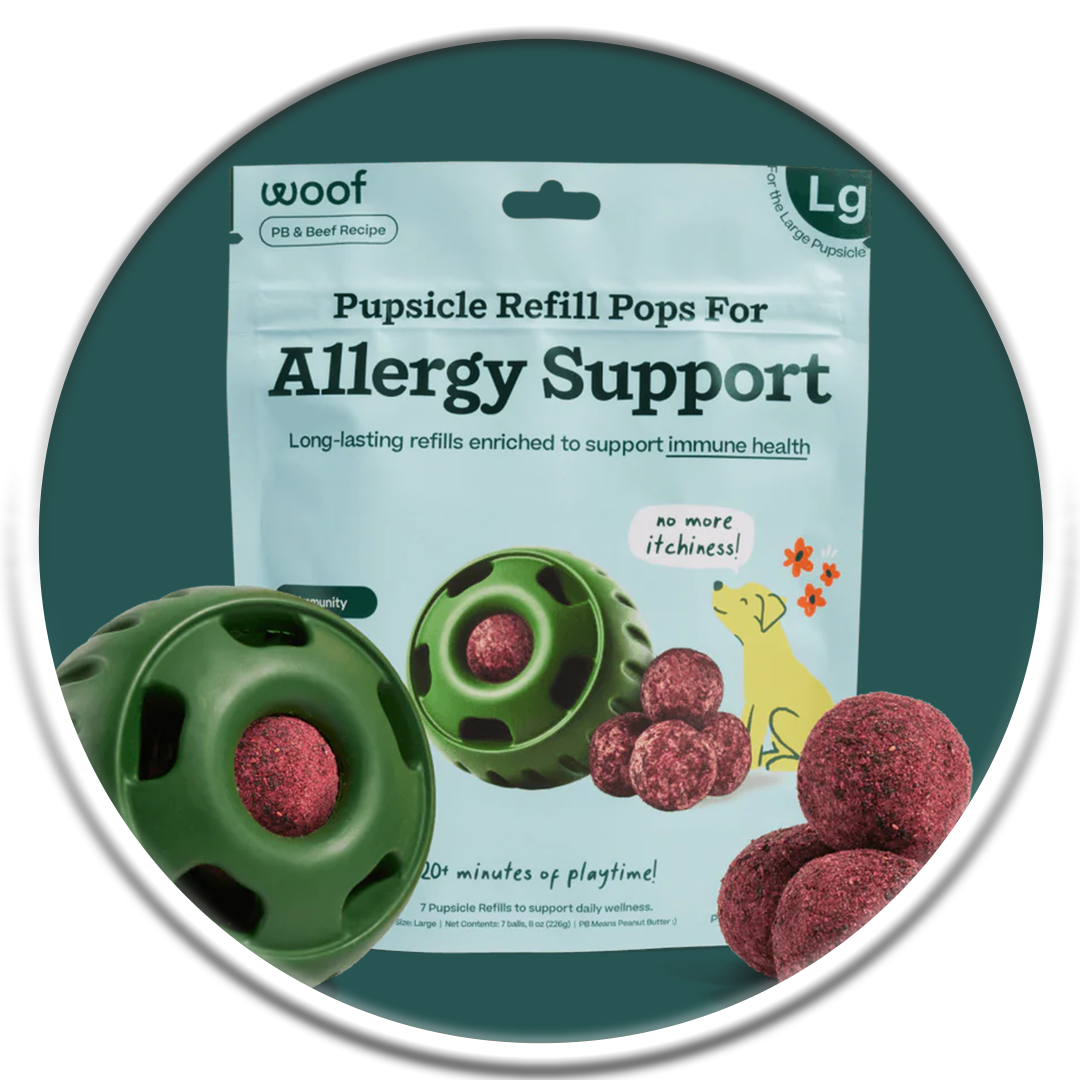 Pupsicle Refill Pops - PB & Beef Allergy Support (S-XL)