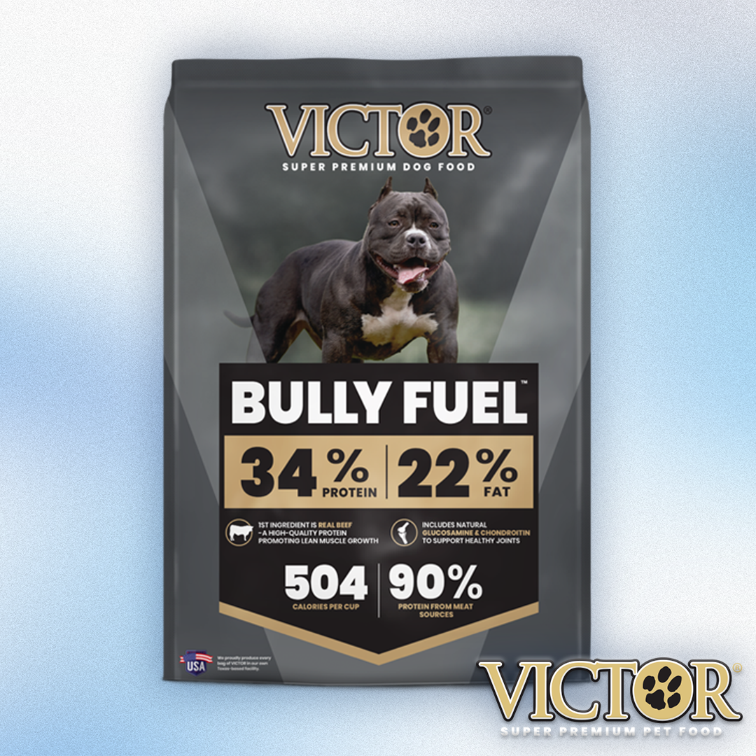 Victor - Bully Fuel 34/22 40 lb Dry Dog Diet