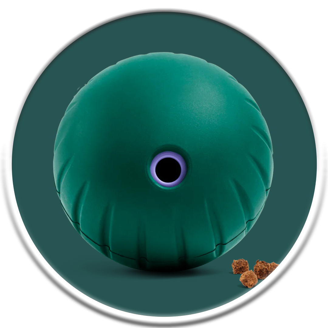 Walkabout - Slow Feeder Treat Puzzle