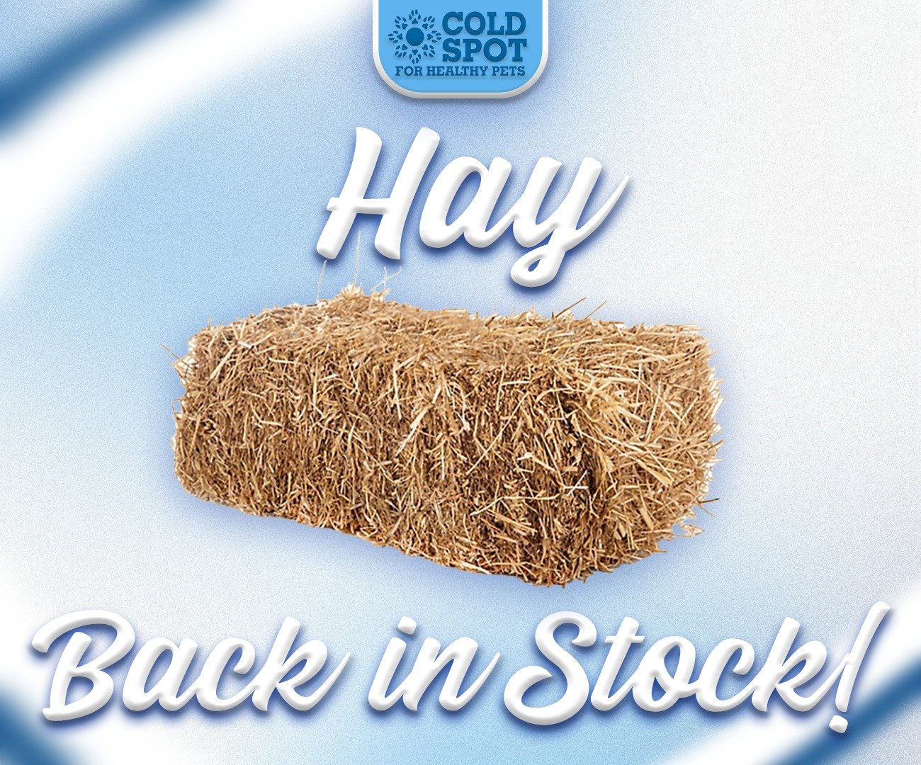 Oh hay there!

Good hay days are here again. 🌾 Stop by Cold Spot for Healthy Pets and grab some bales while supplies last!