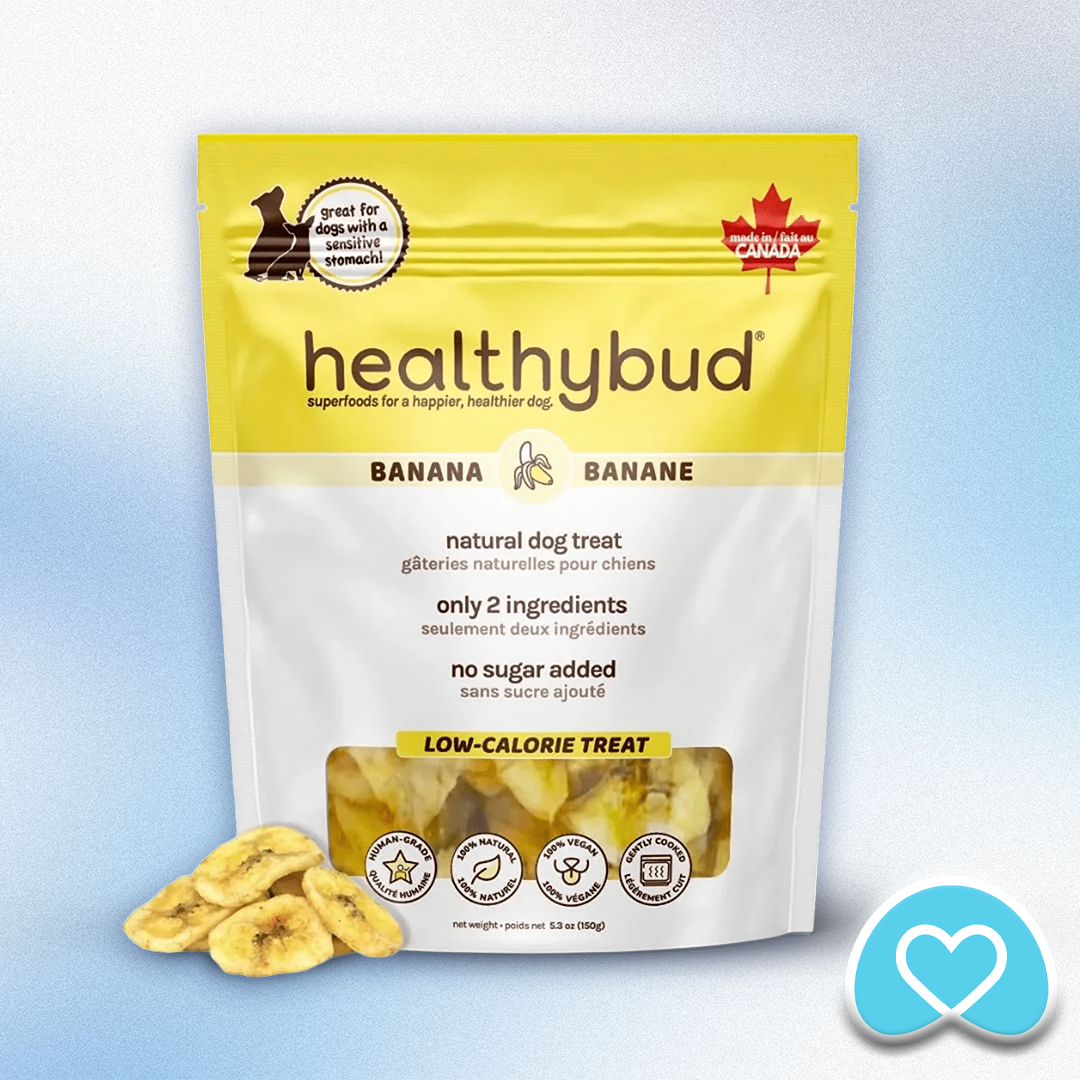 Healthy Bud - Banana Chips (5.3oz)