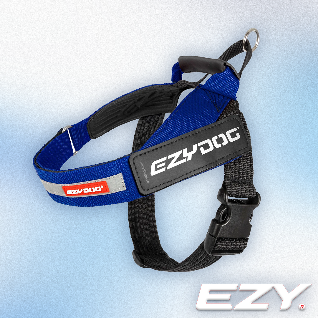 EZY Dog - Express Harness Blue (XS-2XL)