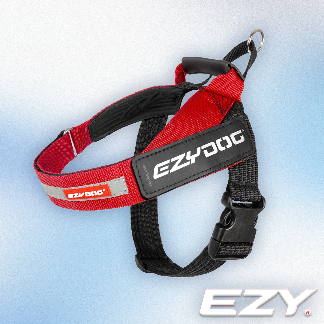 EZY Dog - Express Harness Red (XS-2XL)