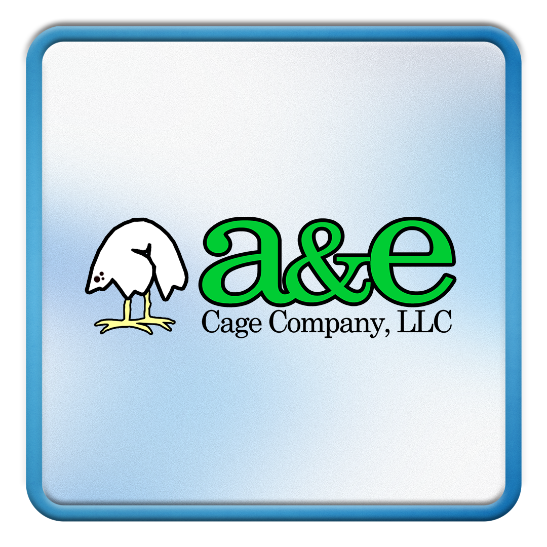 A&E Logo.png
