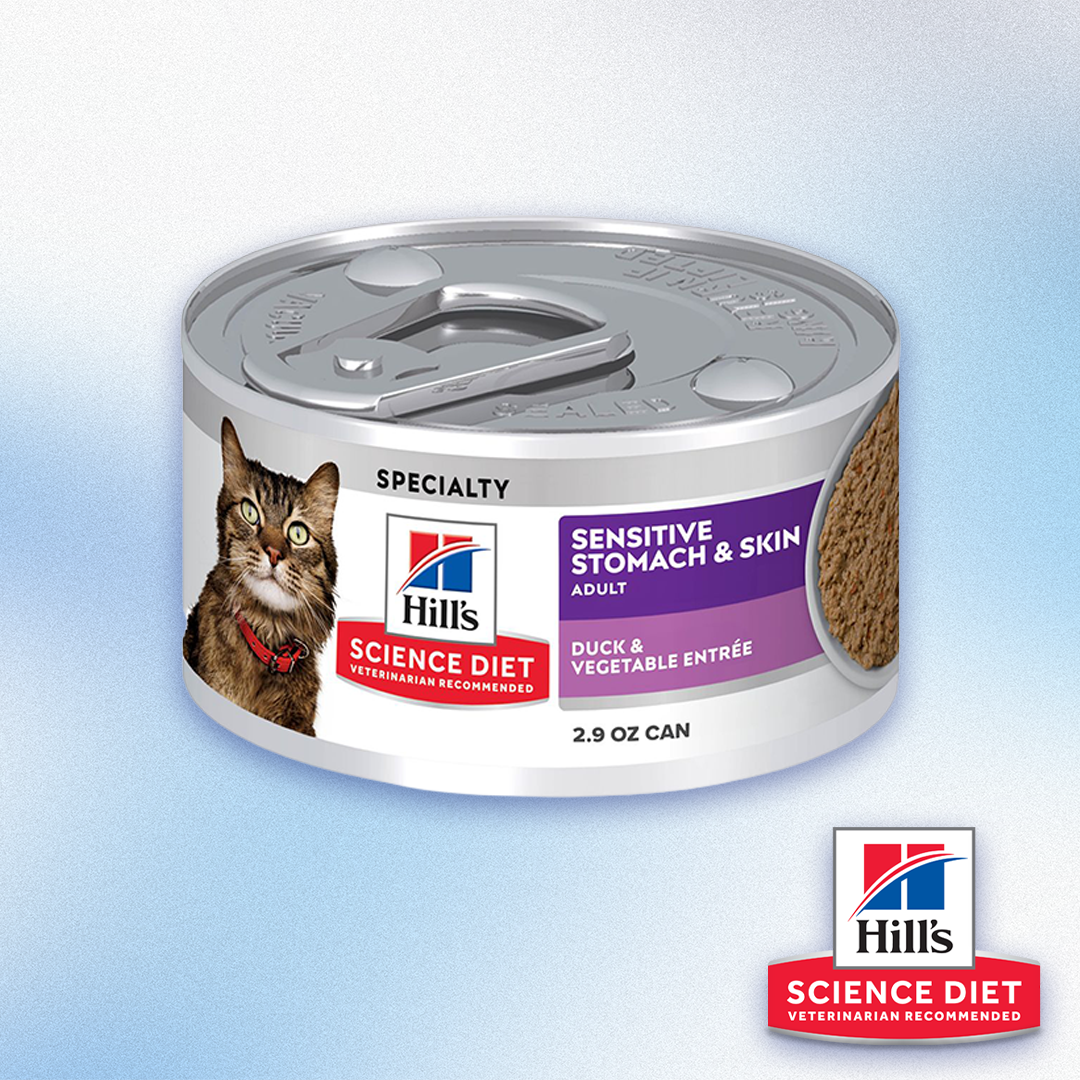 Science Diet - Sensitive Stomach & Skin Duck & Vegetable Entree Wet Cat Food (2.9oz)