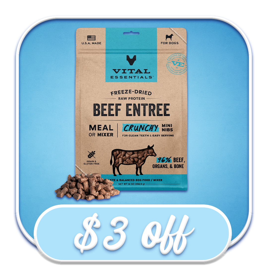 #48987 Freeze Dried Raw Protein Beef Entree Crunchy Mini Nibs (14oz)