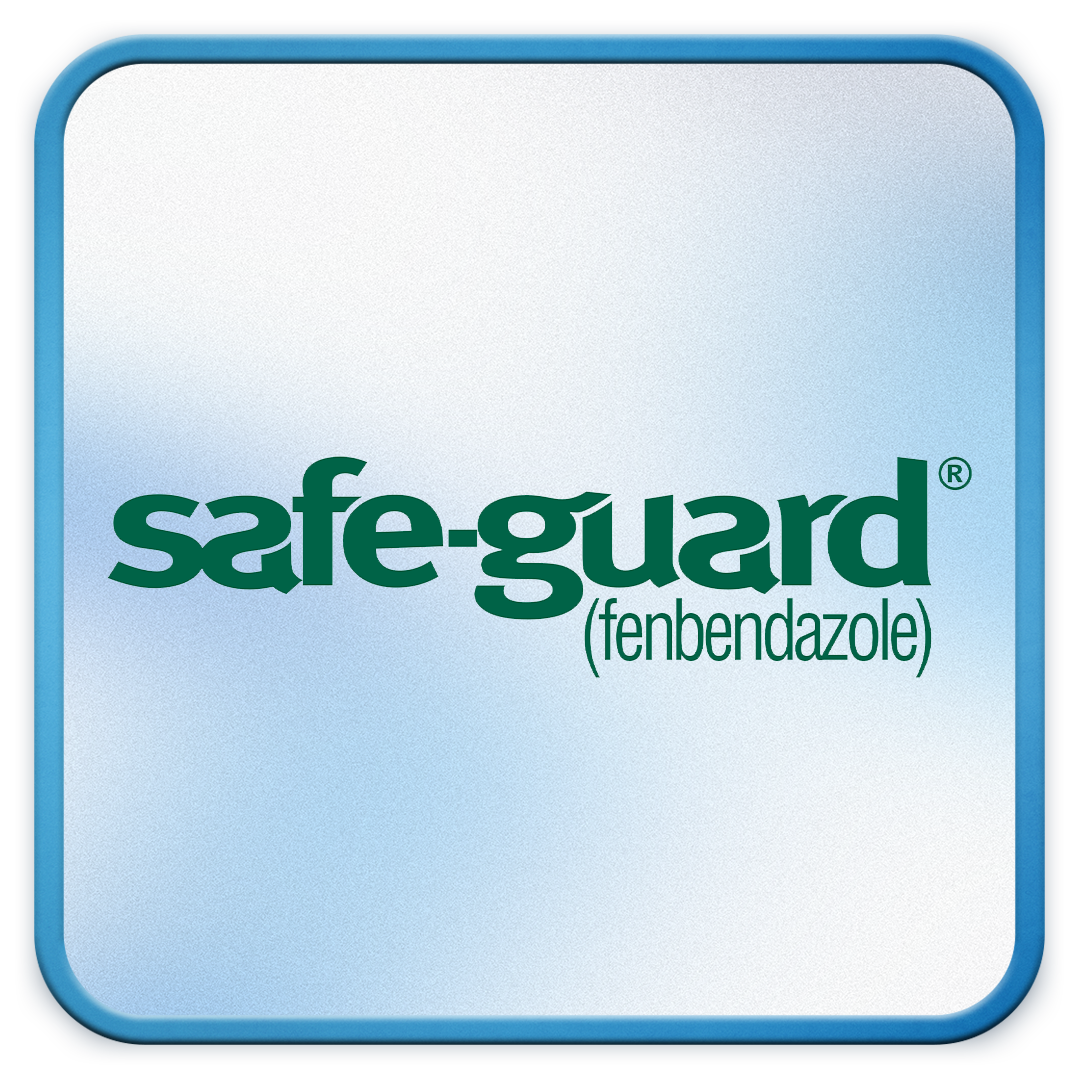Safe-Guard Logo.png