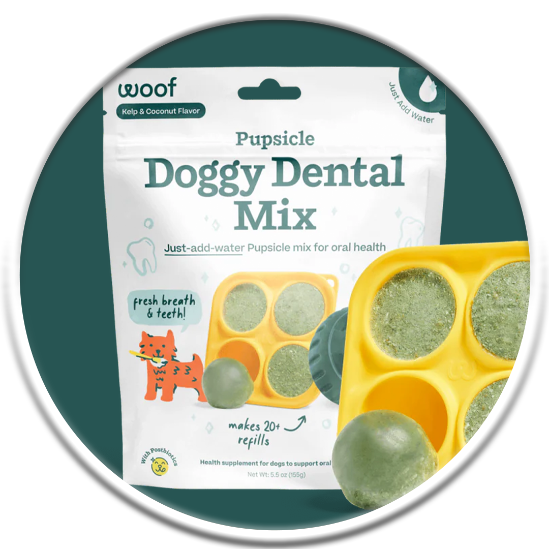 Pupsicle - Kelp & Coconut Doggy Dental Mix
