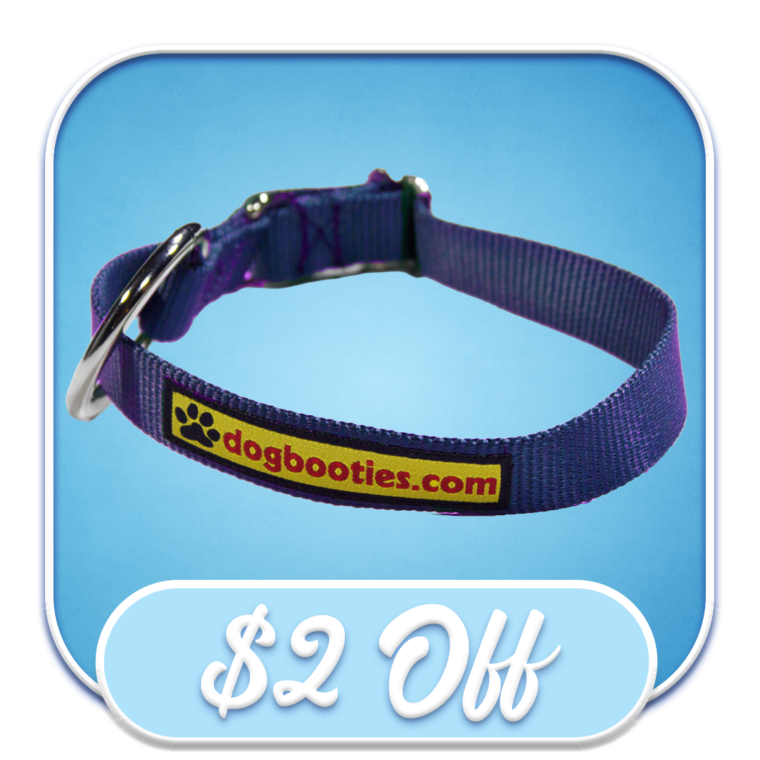 #51060 Dogbooties.com - 2" Purple Collar
