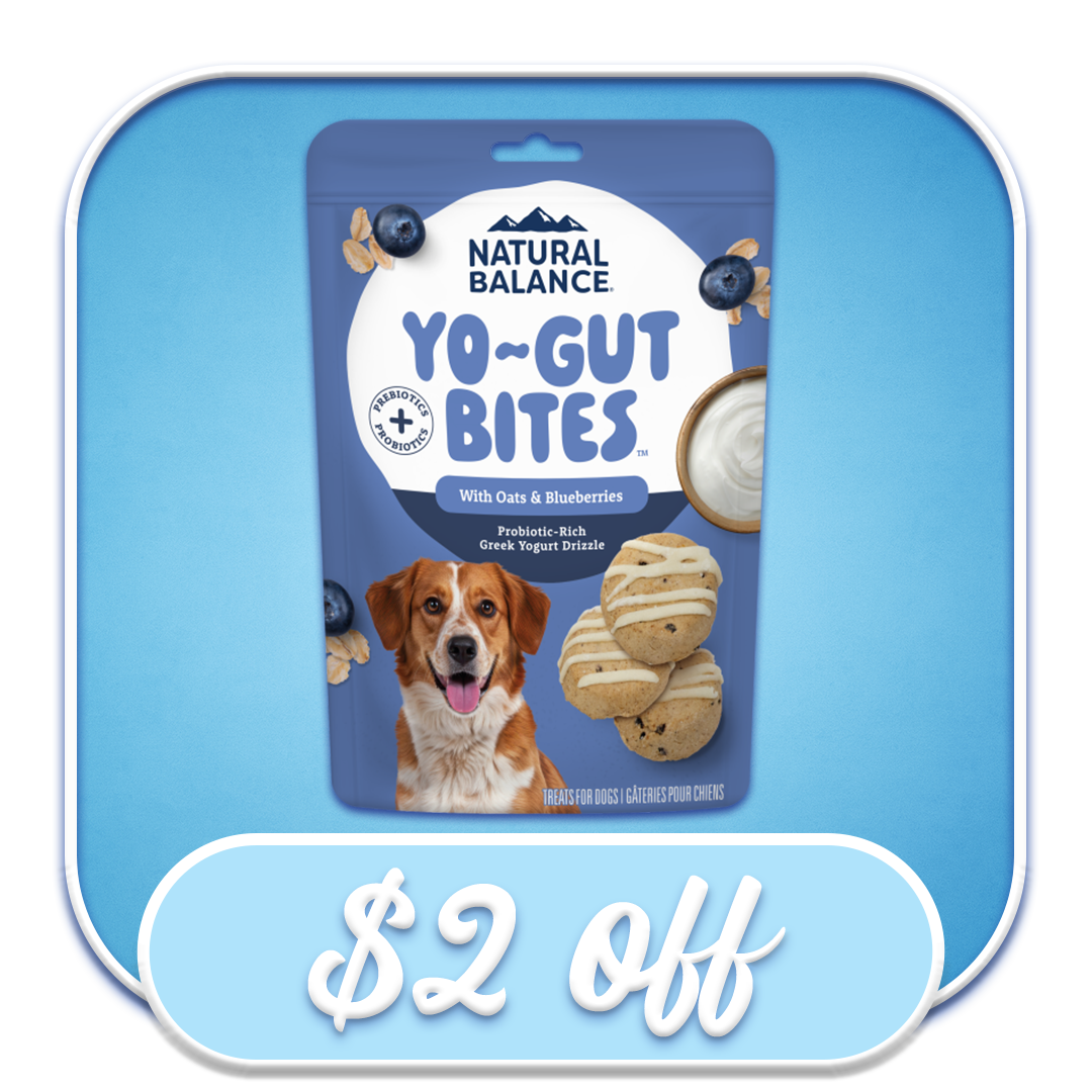  #52005 & #52006 Yo-Gut Bites - Oats and Blueberries (4.5oz & 10oz)