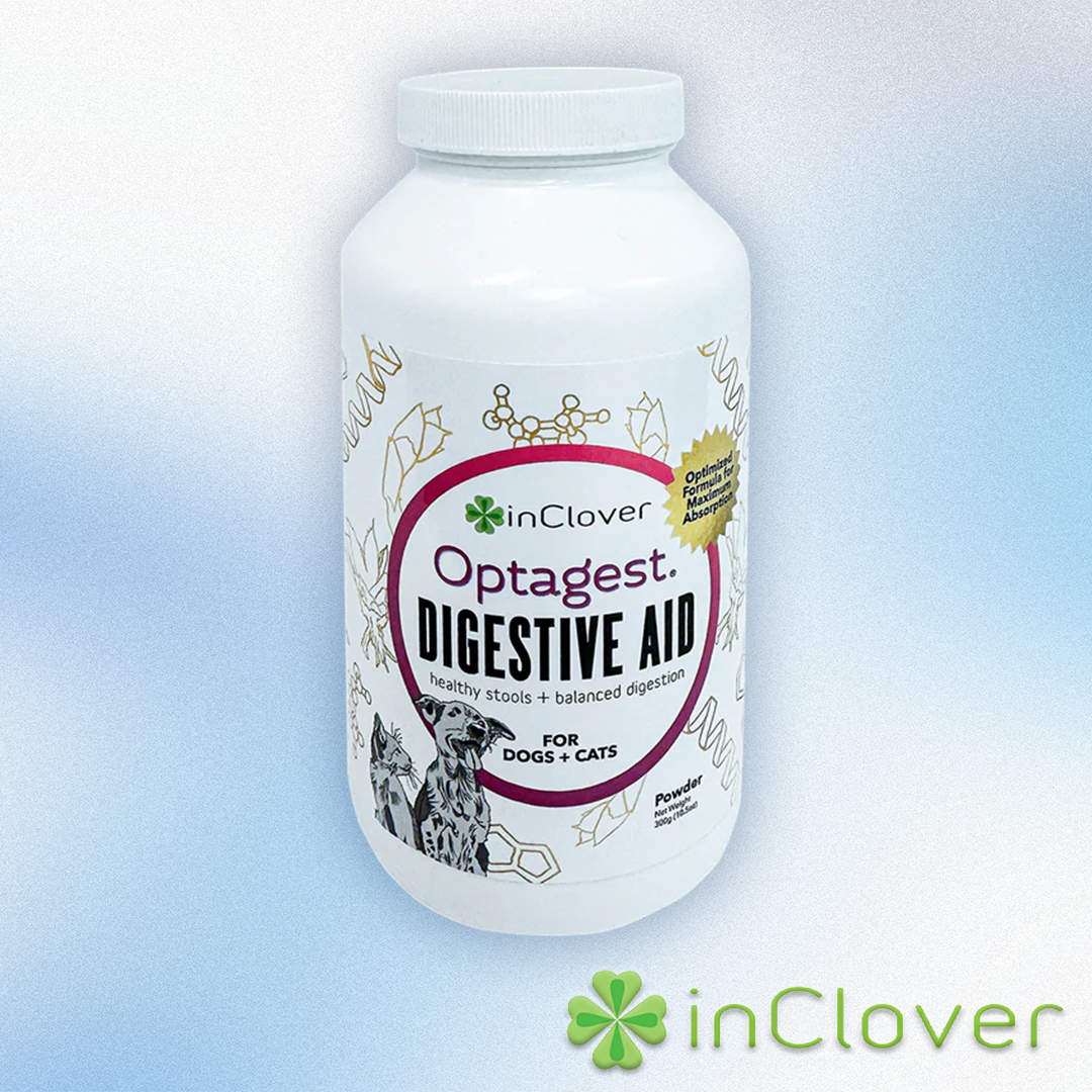 InClover - Optagest Digestive Aid 