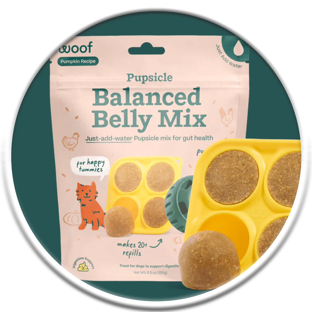 Pupsicle - Pumpkin Balanced Belly Mix 