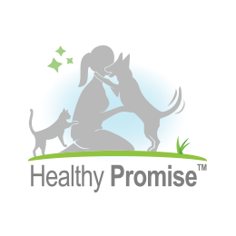 Healthy Promise.png