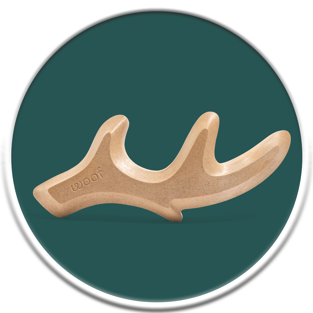 HonestChew - Antler (S-L)