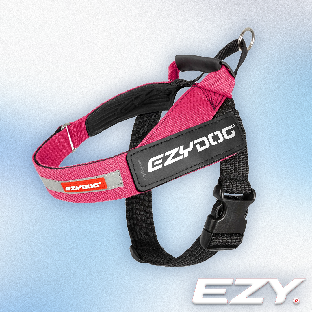 EZY Dog - Express Harness Pink (XS-2XL)