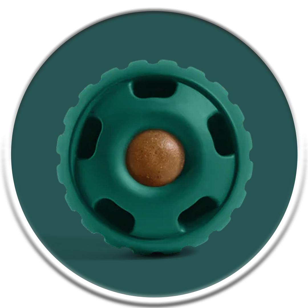 Pupsicle - Forest Green (S-XL)