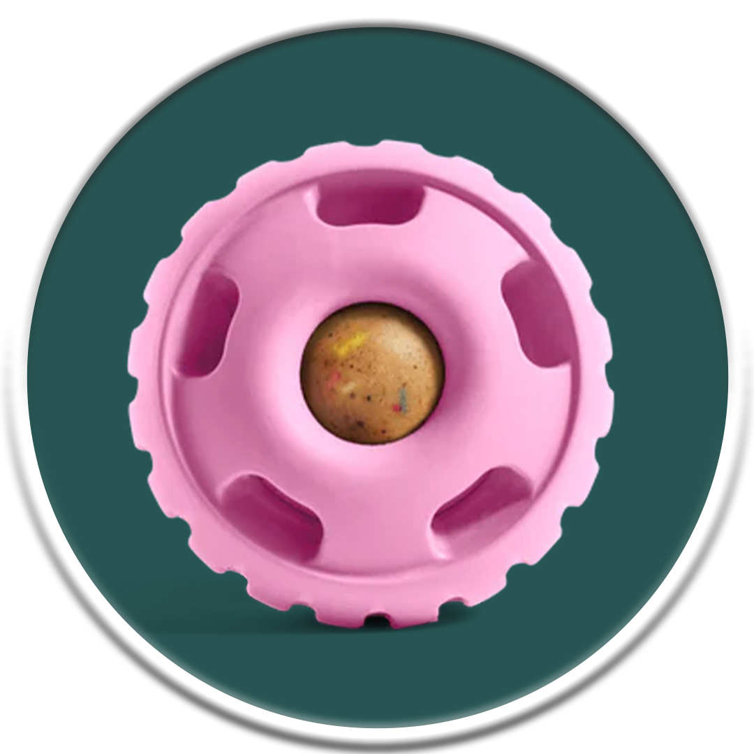 Pupsicle - Party Pink (S-XL)