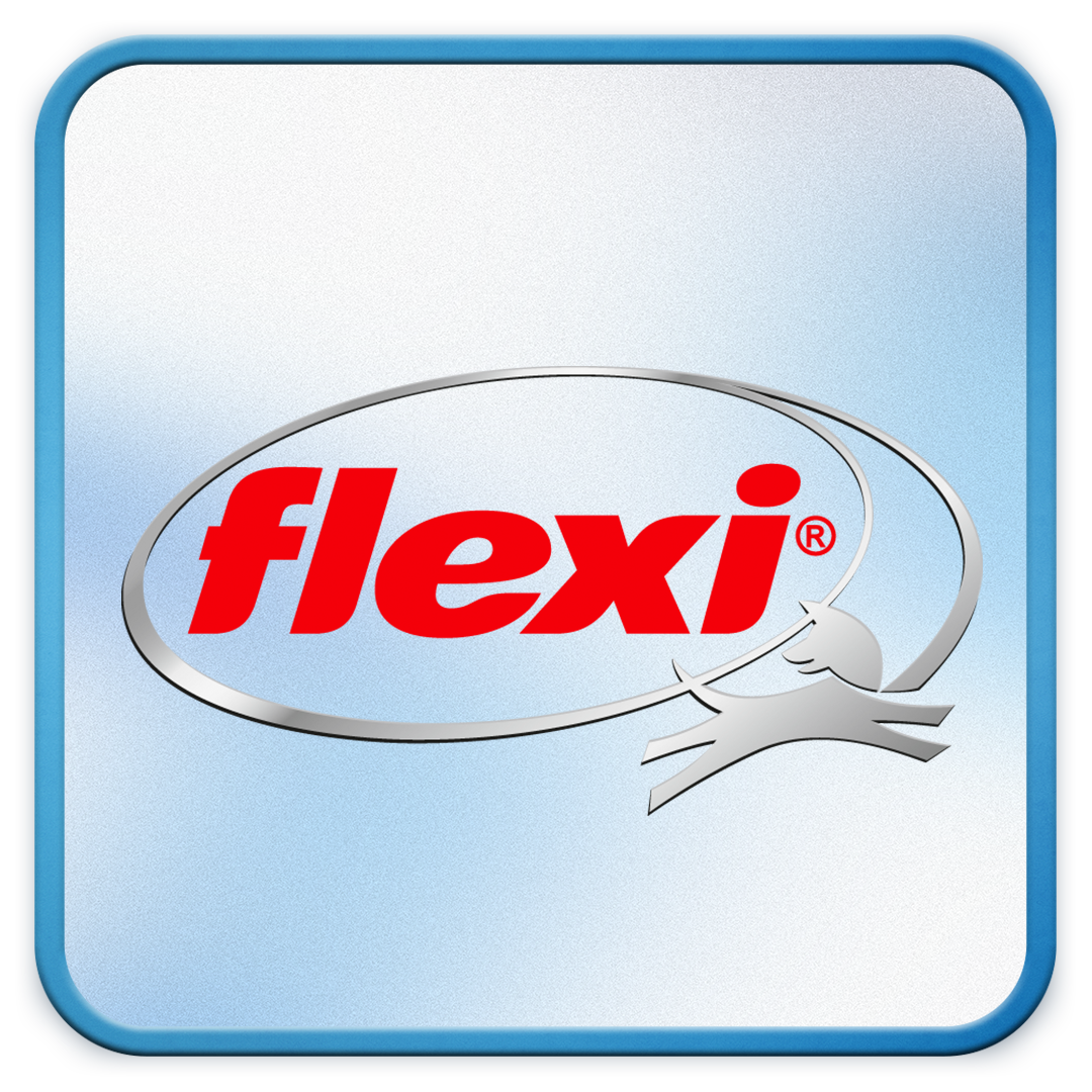 Flexi Logo.png