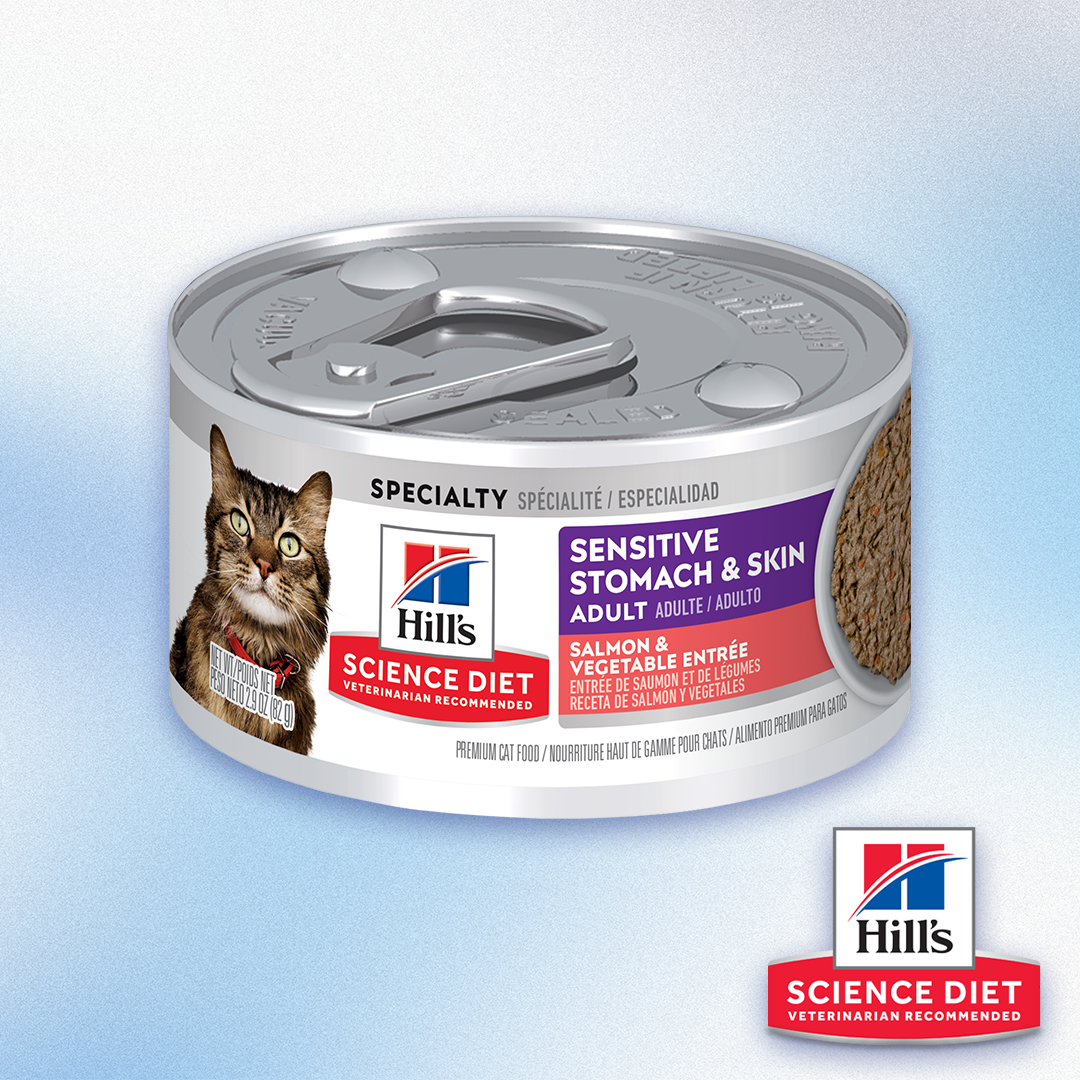 Science Diet - Sensitive Stomach & Skin Salmon & Vegetable Entree Wet Cat Food (2.9oz)