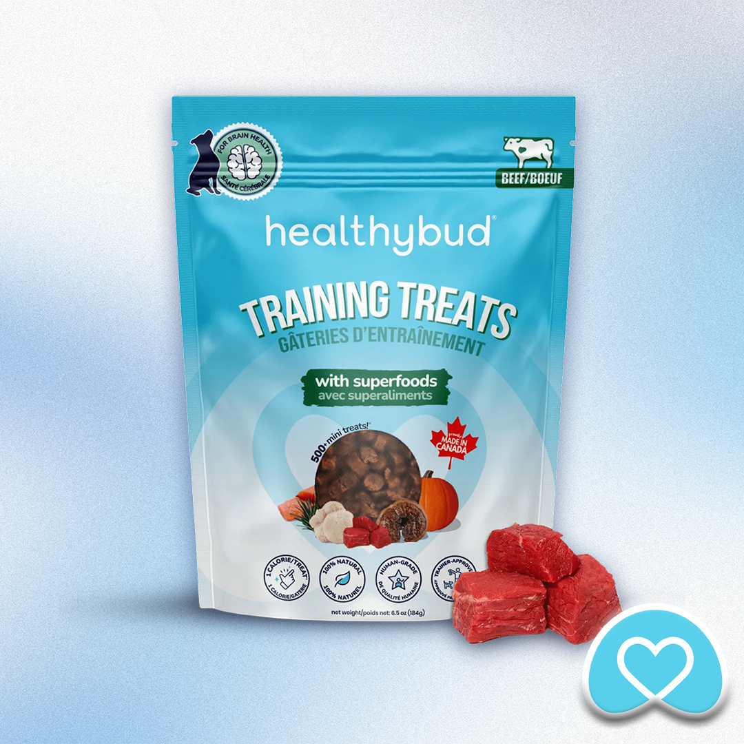 Healthy Bud - Beef Training Treats (6.5oz)