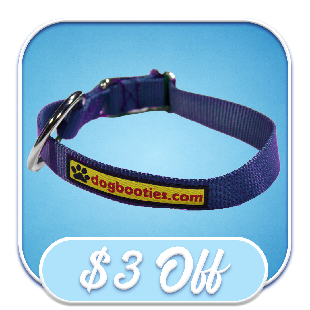 #51060 Dogbooties.com - 2" Purple Collar
