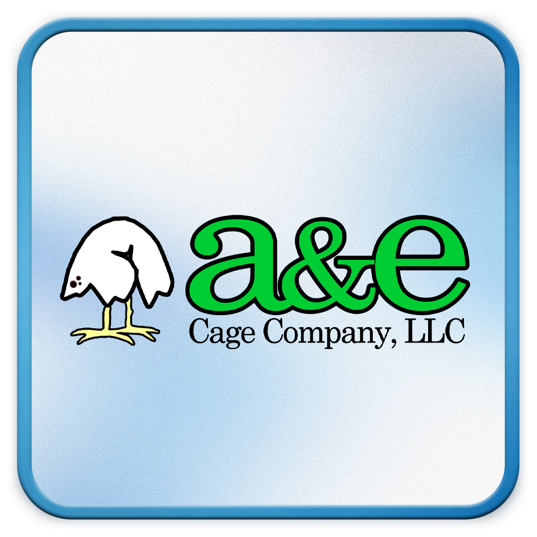 a&e Logo.png