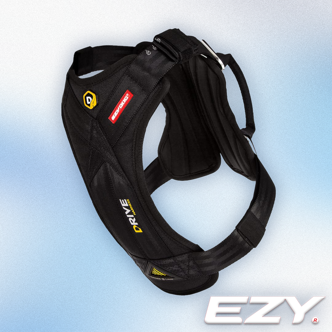 EZY Dog - Driver Harness Blue (S-L)
