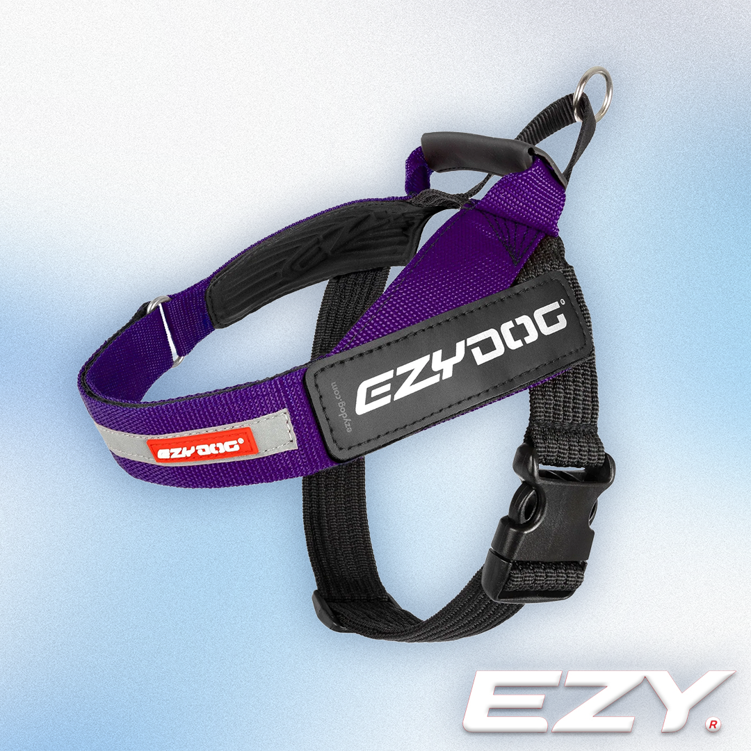 EZY Dog - Express Harness Purple (XS-2XL)