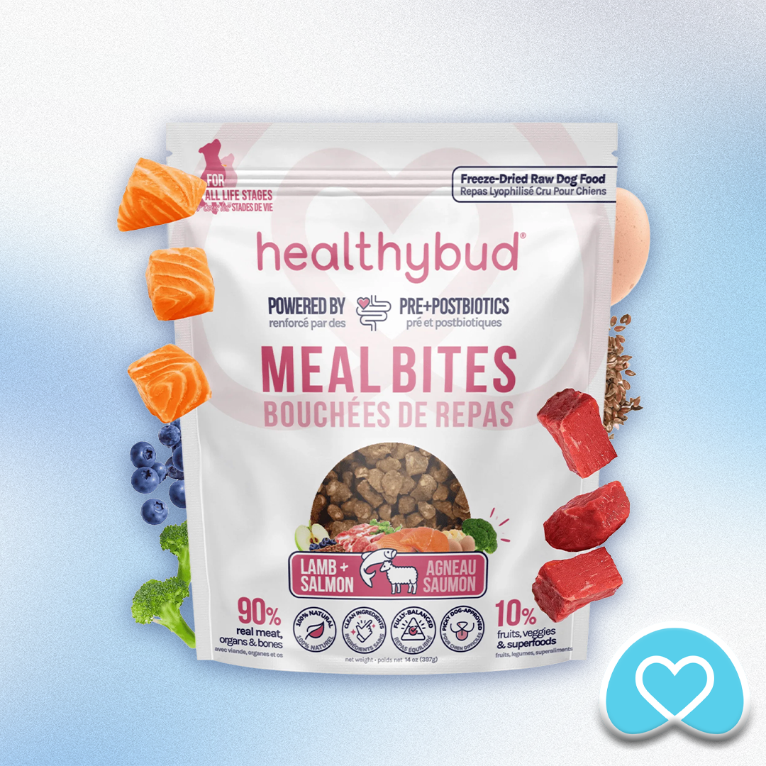 Healthy Bud - Freeze-Dried Beef Bites (14oz)