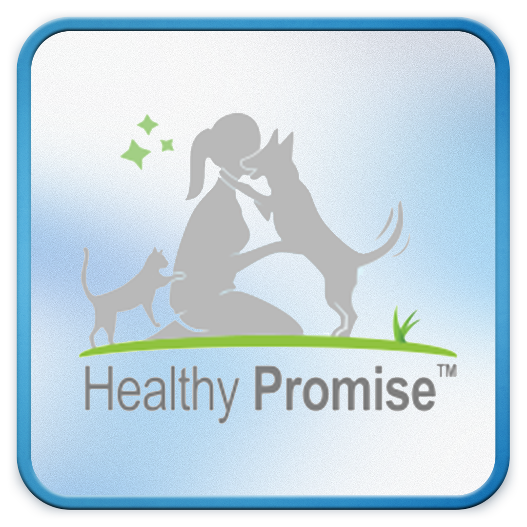 Healthy Promise Logo.png