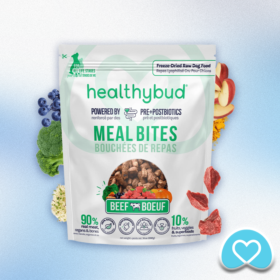 Healthy Bud - Freeze-Dried Beef Bites (14oz)