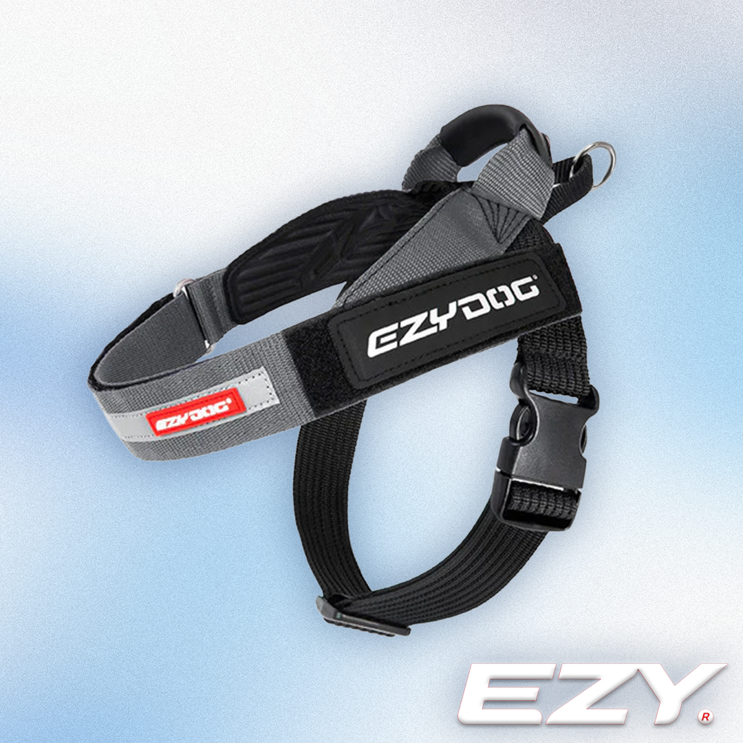 EZY Dog - Express Harness Grey (XS-2XL)