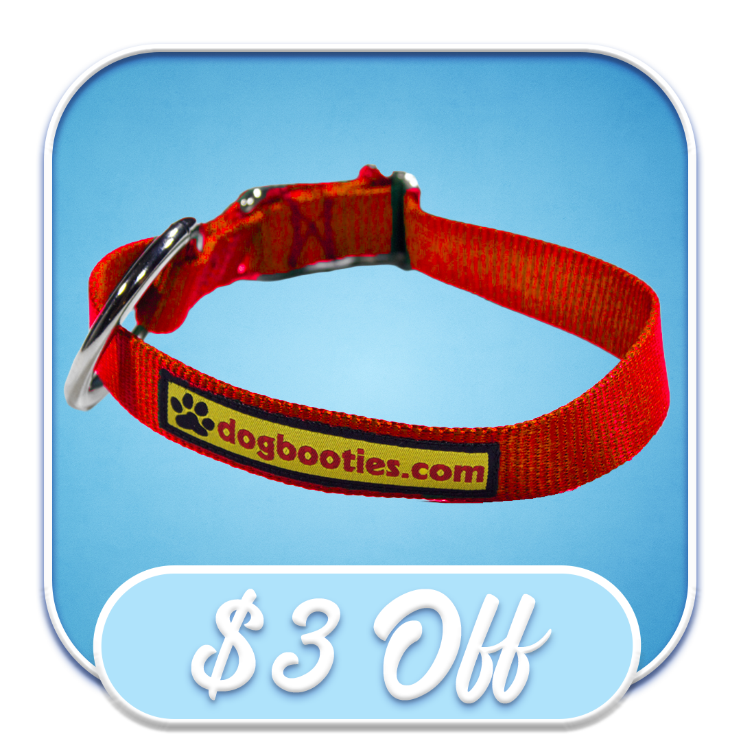#51061 Dogbooties.com - 2" Red Collar