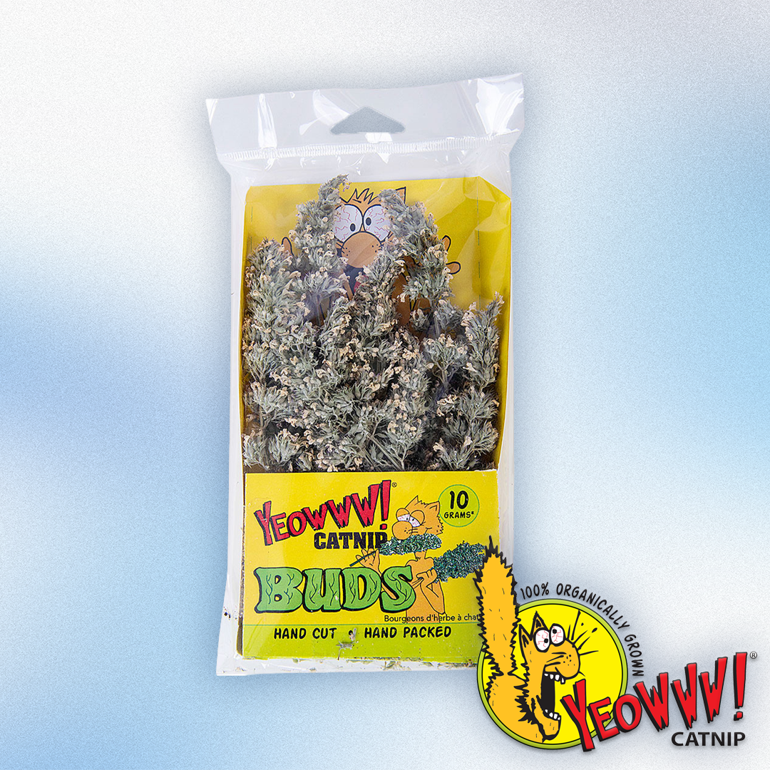 Yeowww! - Catnip Buds