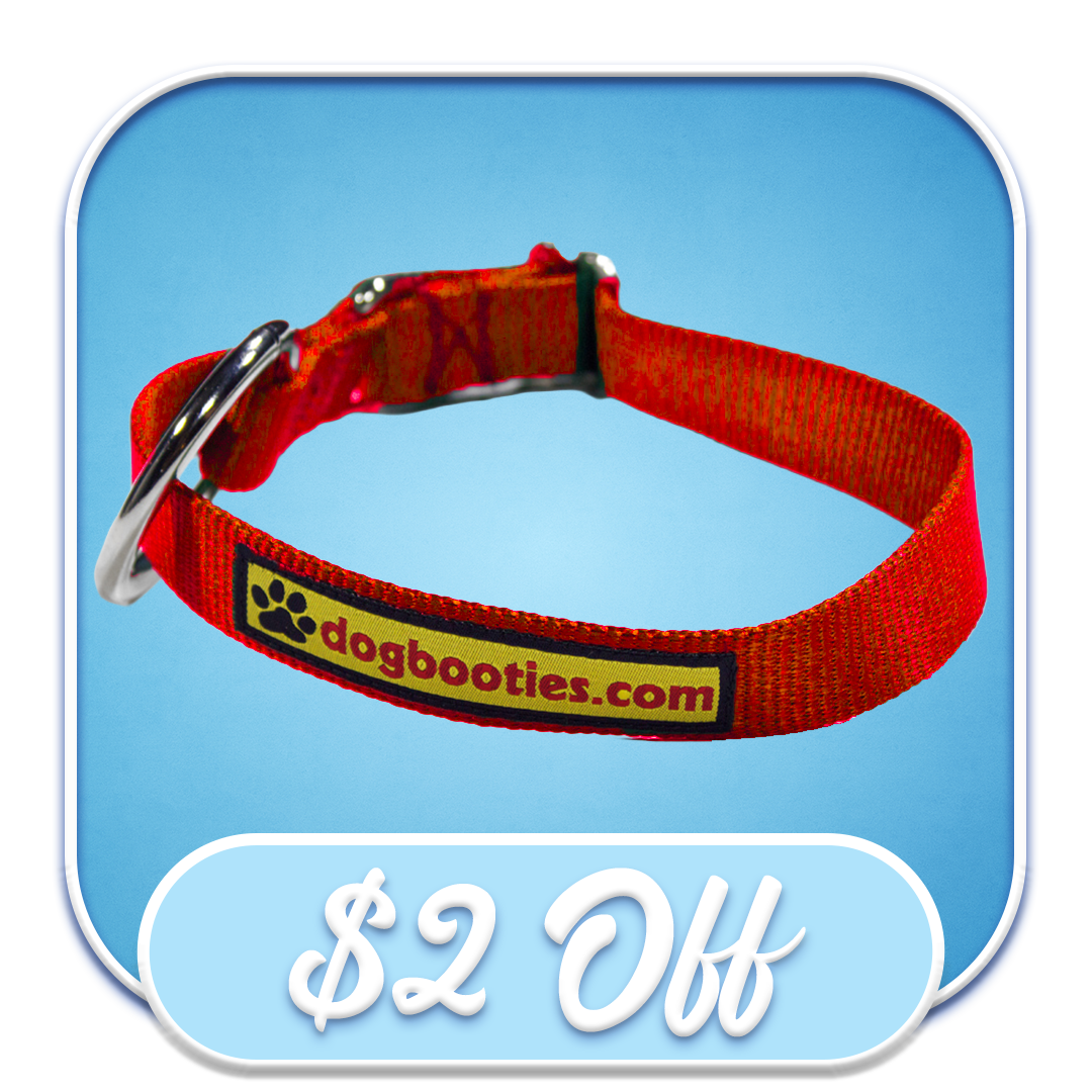 #51061 Dogbooties.com - 2" Red Collar