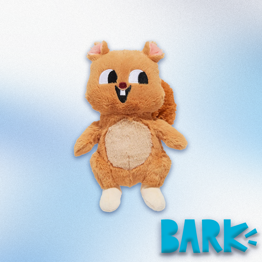 BarkBox - Pearl Squirrel