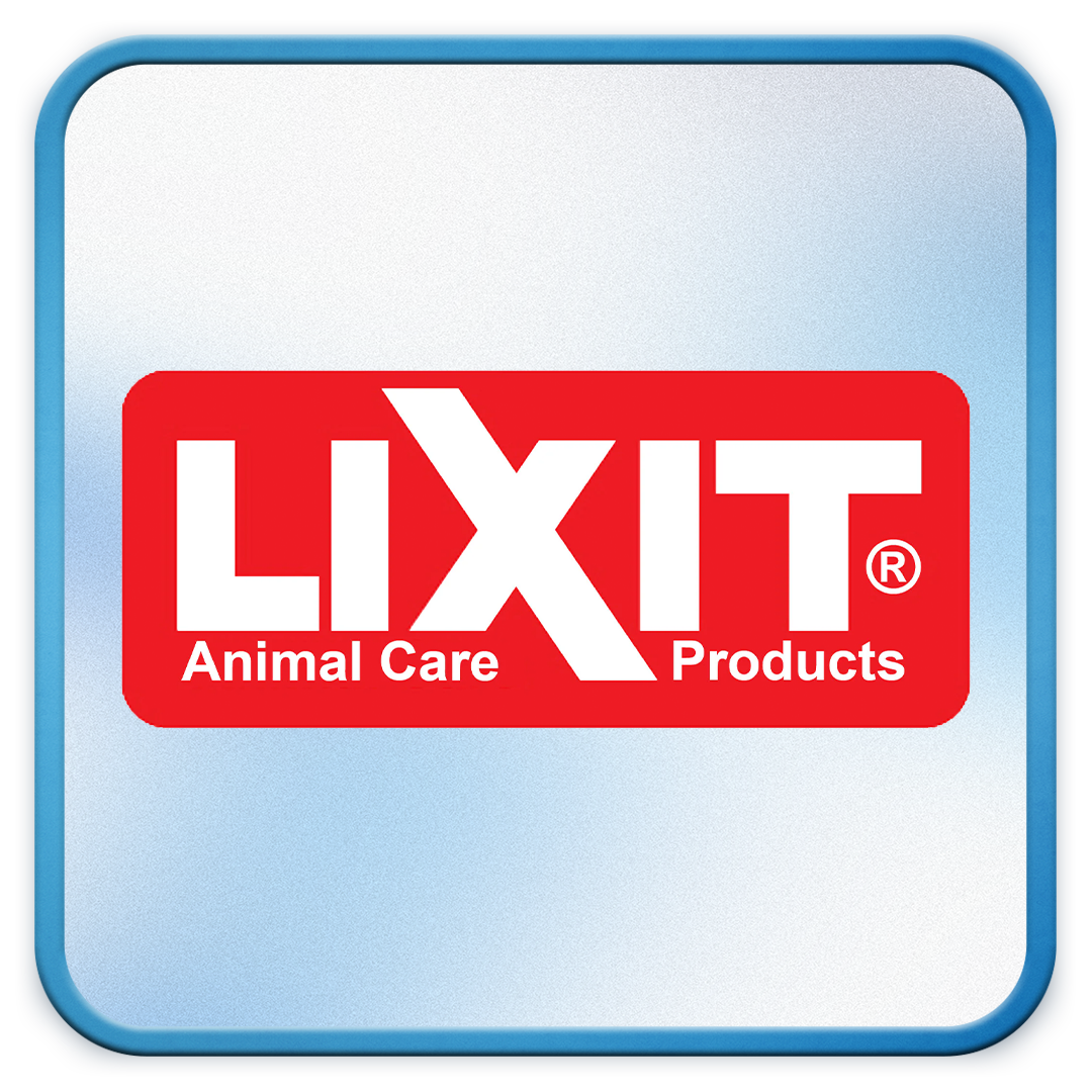 LixIt Logo.png
