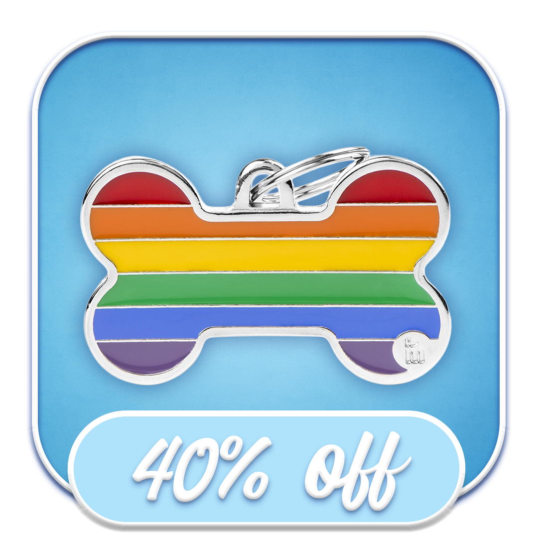 #46713 MyFamily - Rainbow Stripe Large Bone