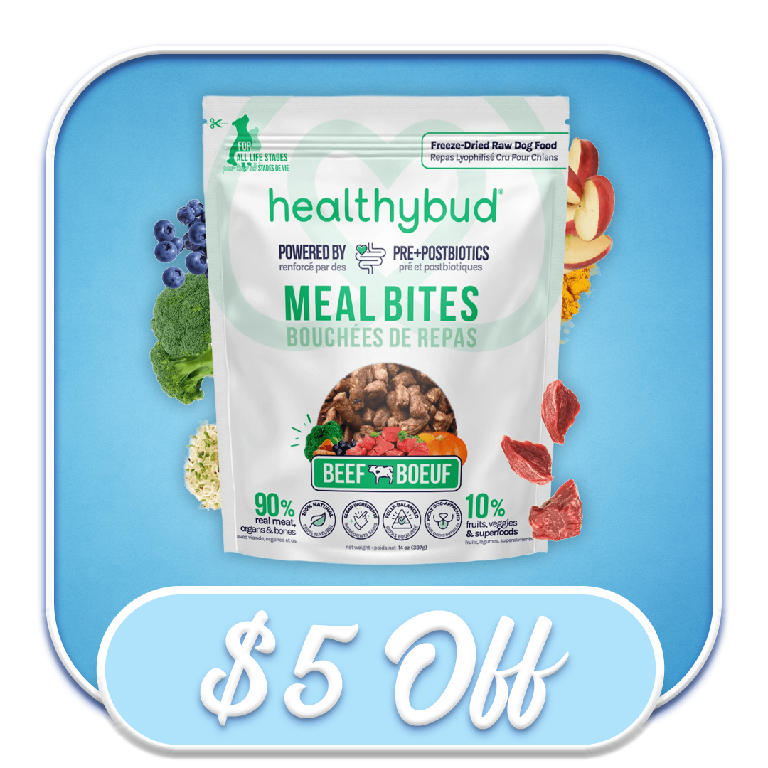 #52202 HealthyBud - Freeze-Dried Beef Bites 14oz