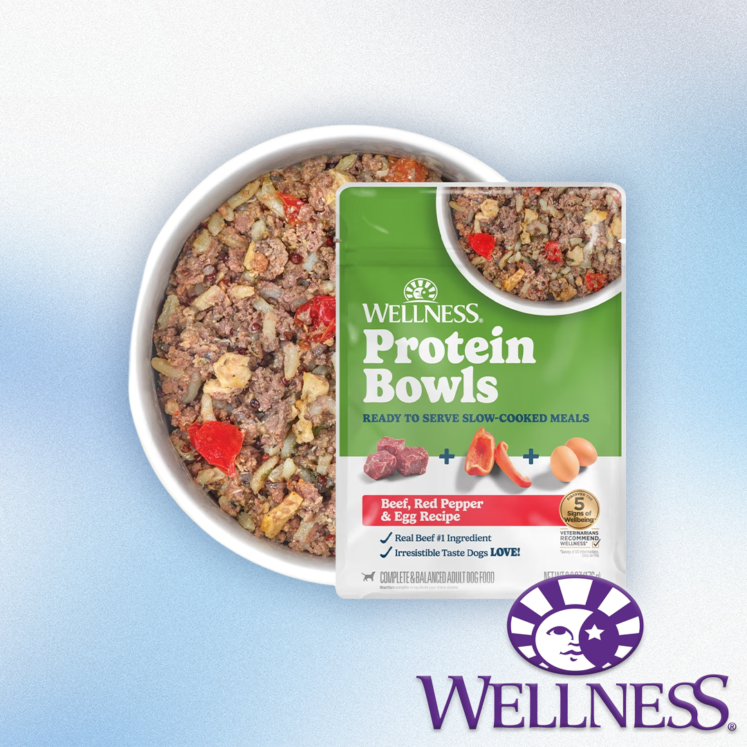 Wellness - Slow-Cooked Protein Bowl Beef, Red Pepper & Egg Recipe 