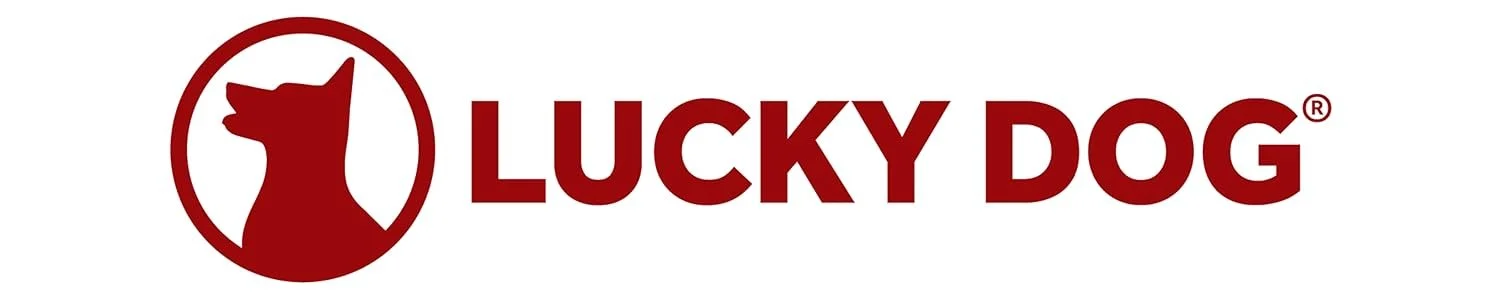 Lucky Dog.jpeg