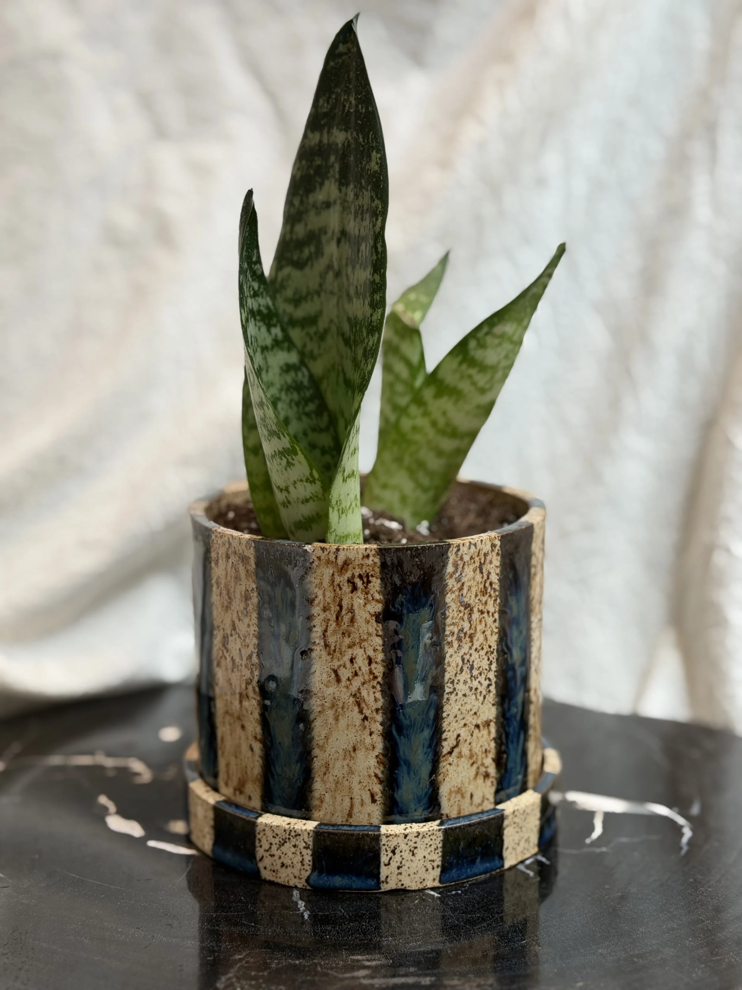 Dark Teal Striped Planter