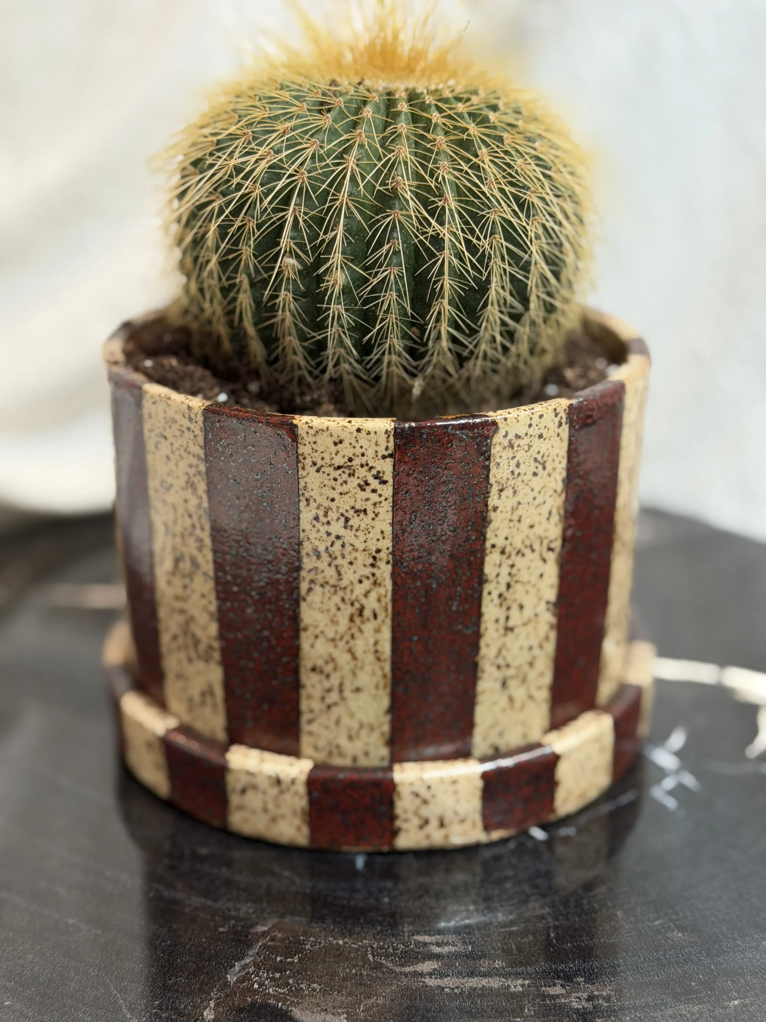 Cordovan Striped Planter
