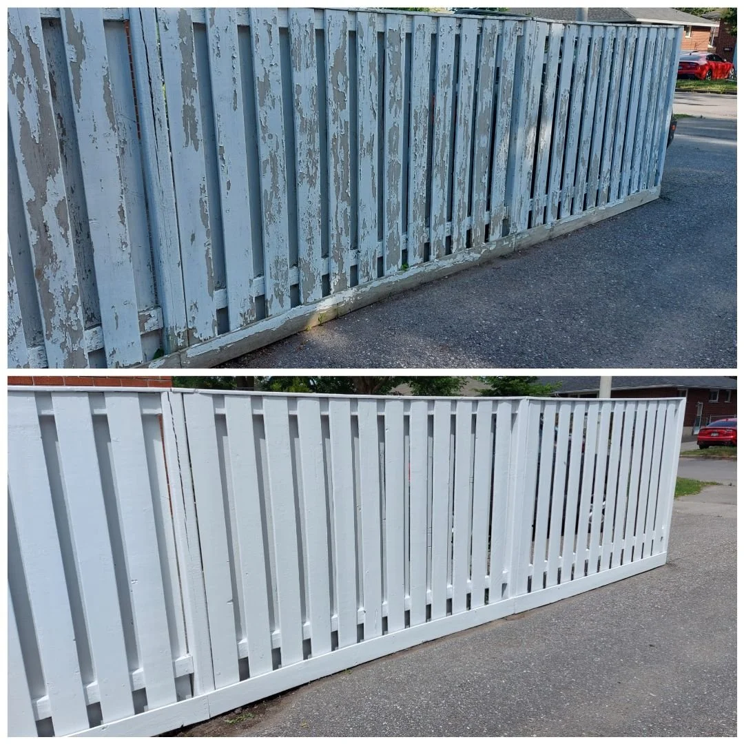 Fence Painting & Staining