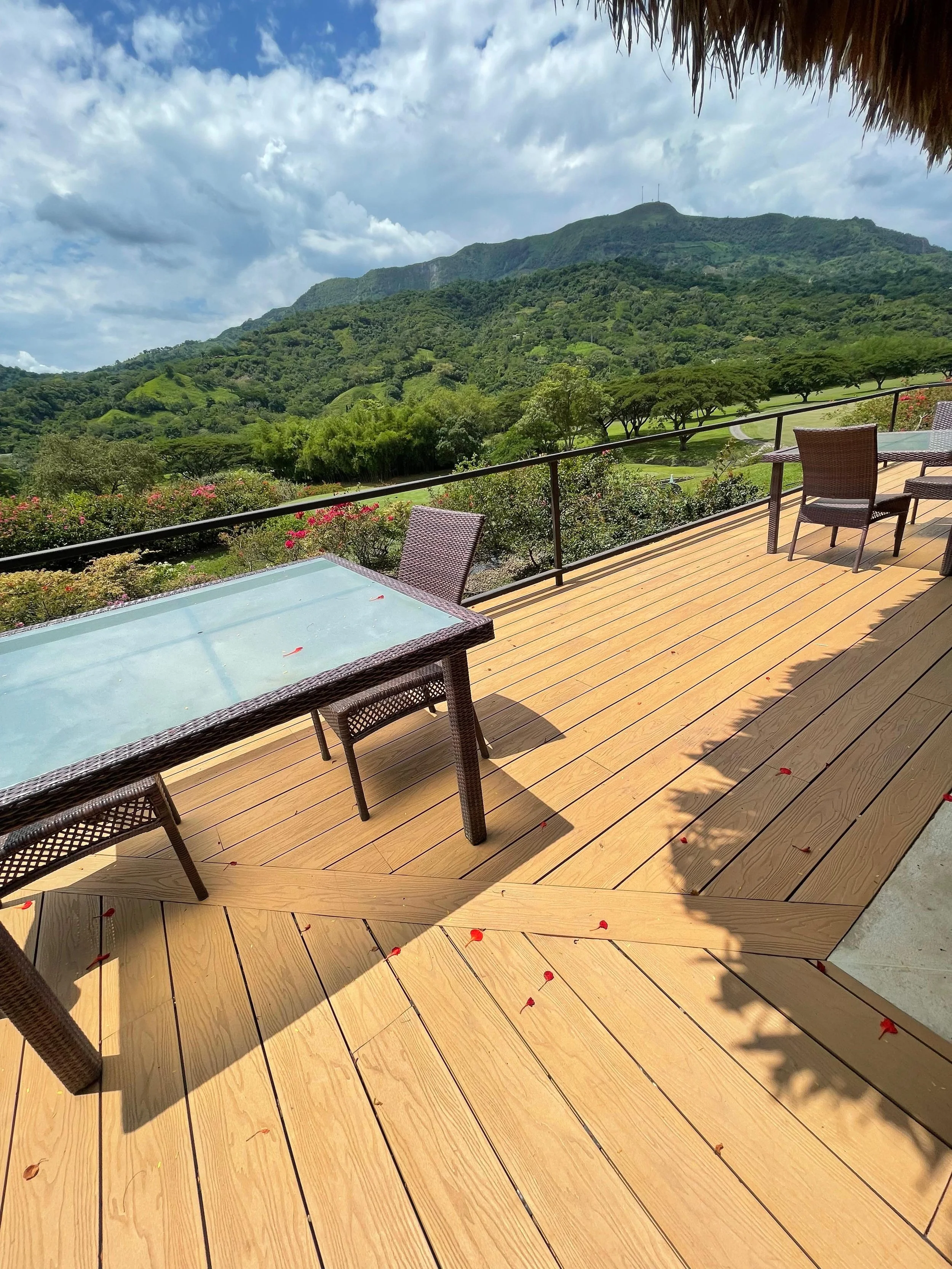 WhatsApp Image 2025-08-01 at 4.16.41 PM.jpeg