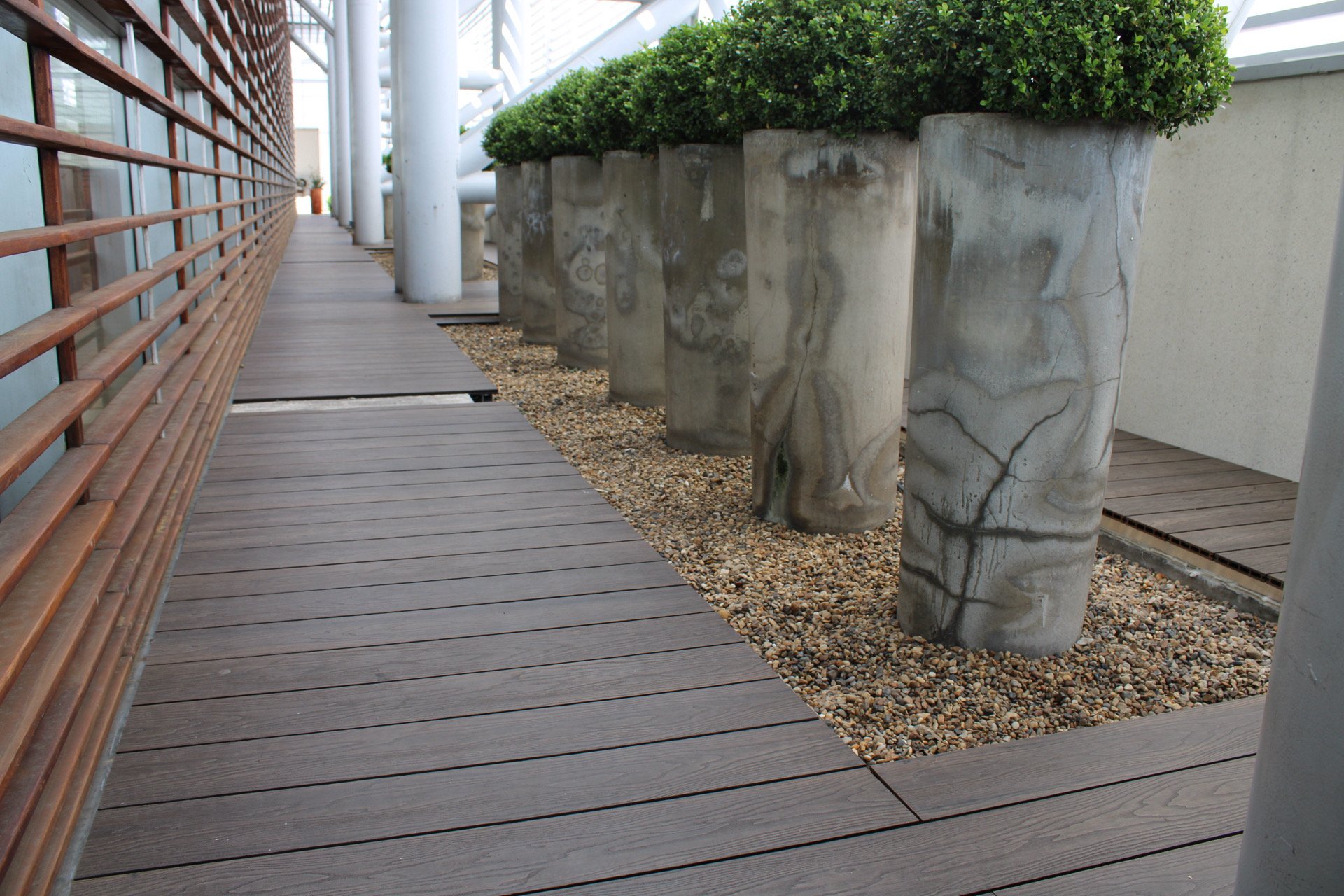 Pasillo junto a un muro de madera con plantas en macetas de concreto en el lado derecho y piso de madera en el lado izquierdo.