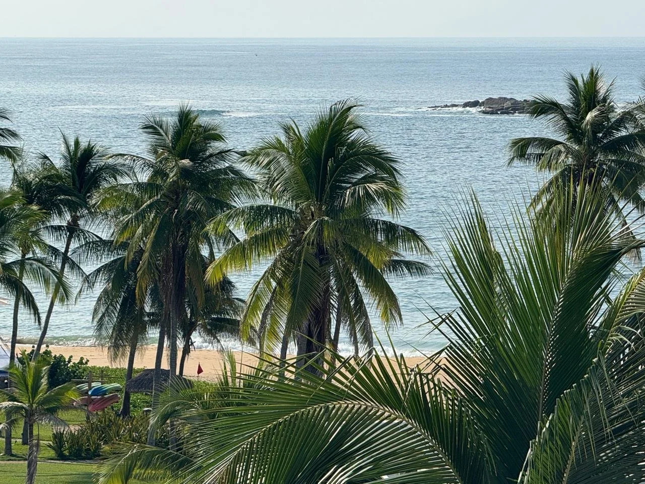 PHOTO-2026-01-21-09-39-15 3.jpg