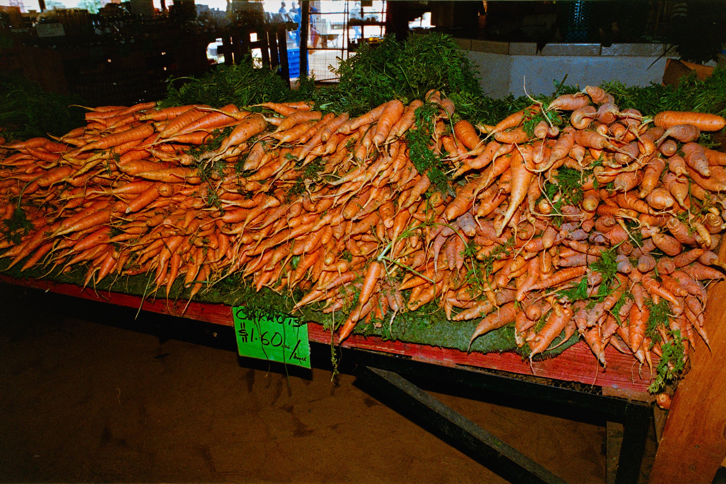 Market display of fresh carrots with green tops on a wooden table marked with a sign that reads "Carrots $1.60/lb".