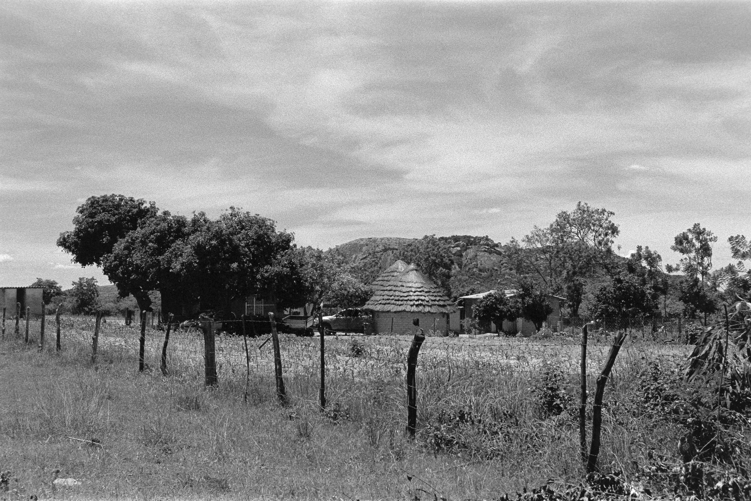 A rural landscape in black and white showing trees, a small house with a thatched roof, a simple fence, and distant hills under a partly cloudy sky.